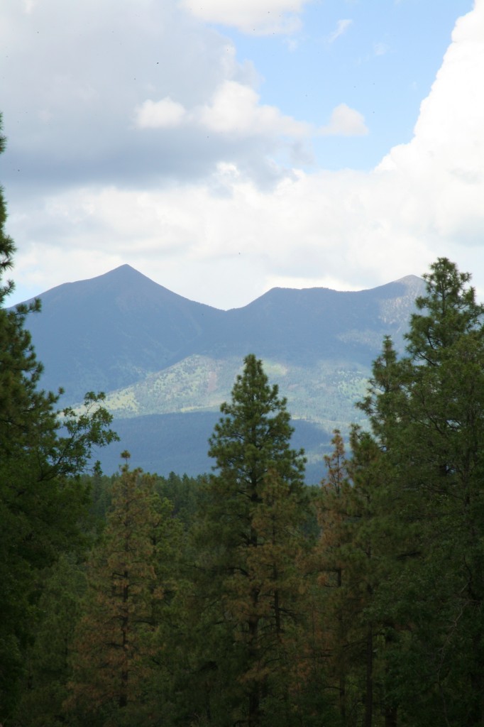 San Francisco Peaks, photographiés depuis la route qui mène au Lowell Observatory, 2011, © Nausica Zaballos